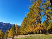 AUTUNNO 2 2021.jpg